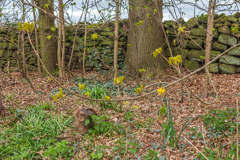 Brackley Gate Brackley Gate